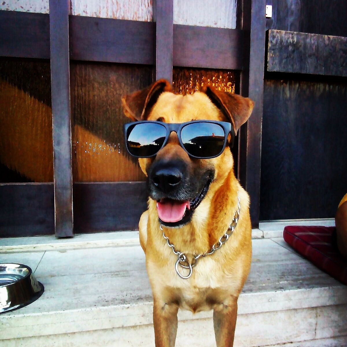 Tyson