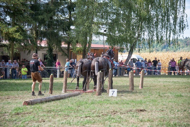 Kutscherfest 2018