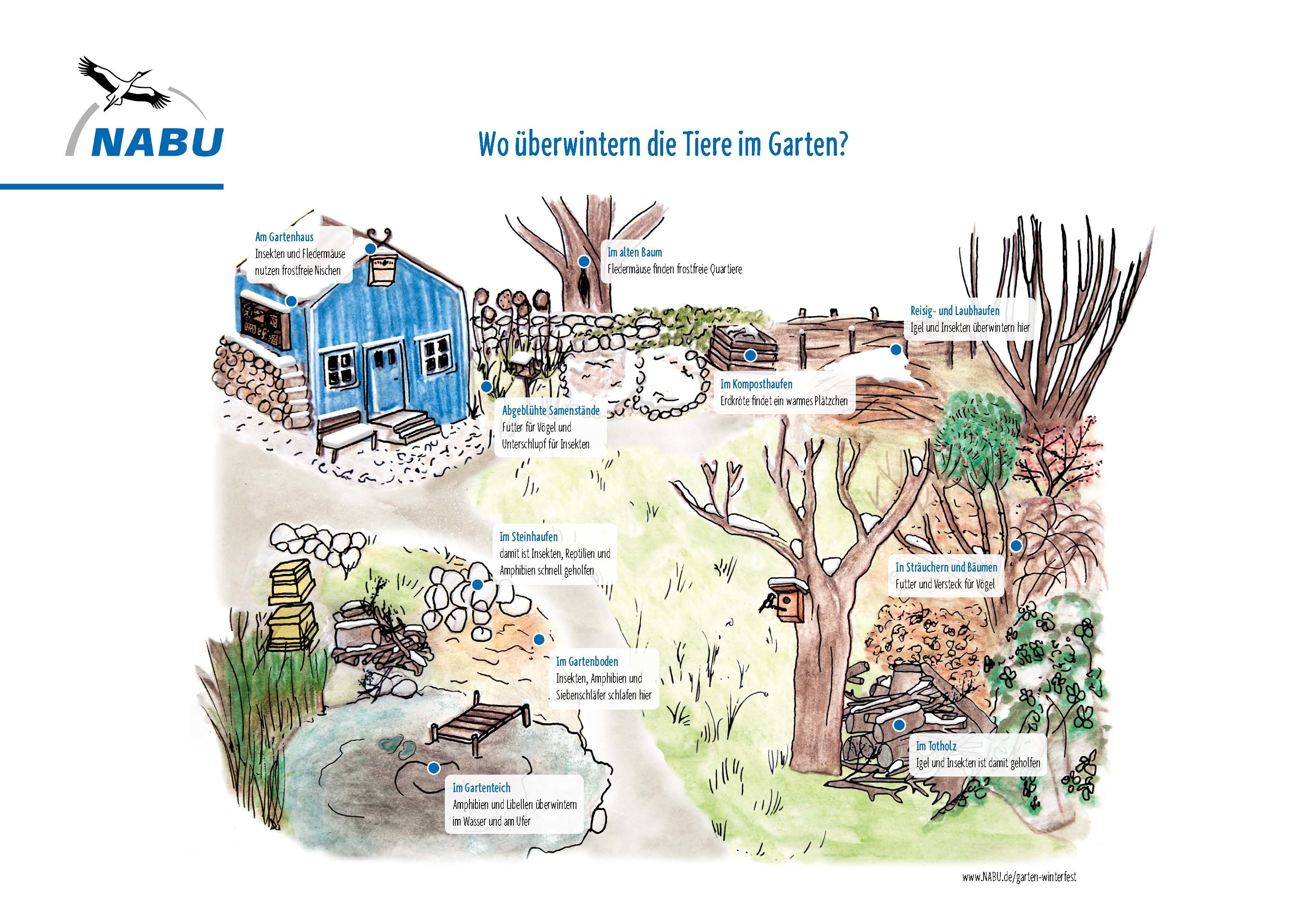 Welches Tier überwintert wo im Garten? Unsere Grafik zeigt es. Weiterer Text über ots und www.presseportal.de/nr/6347 / Die Verwendung dieses Bildes ist für redaktionelle Zwecke honorarfrei. Veröffentlichung bitte unter Quellenangabe: "obs/NABU/NABU/Jule Roschlau"