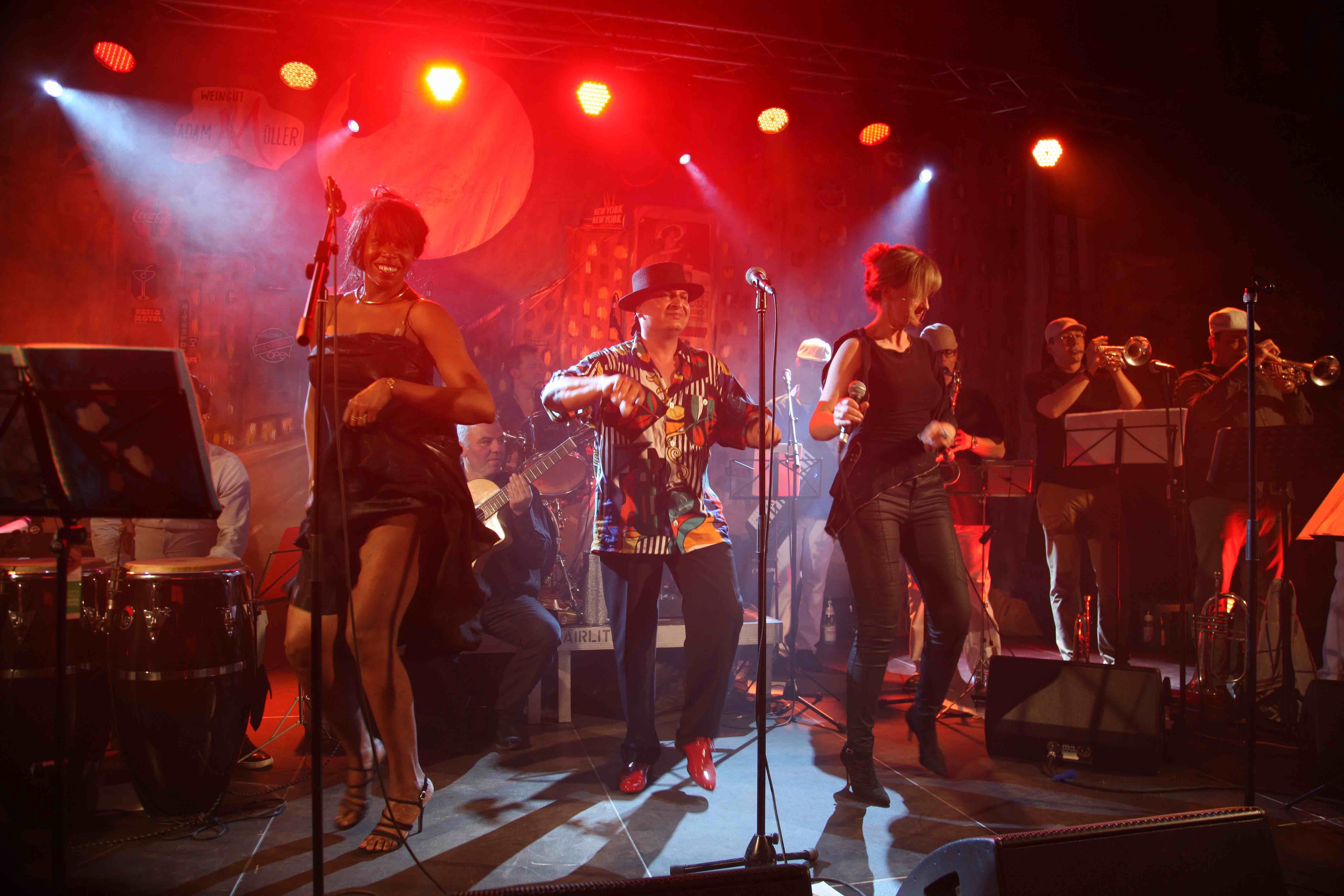 Zwei Top-Bands, Havana Coastline und The Shades of Soul, sorgen am 3. Oktober, 14 bis 17.30 Uhr, für einen tollen musikalischen Nachmittag für die ganze Familie im Musicpark Maulbronn.